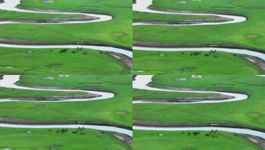 呼伦贝尔大草原上的溪流高清在线视频素材下载