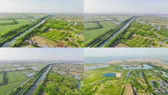 生态环境洪泽湖湿地风景4K航拍高清在线视频素材下载