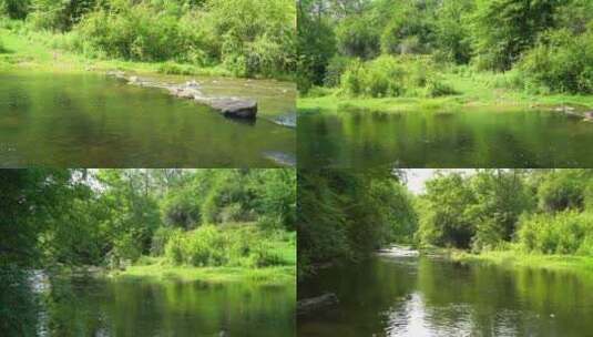 小溪河流3个镜头4K高清在线视频素材下载
