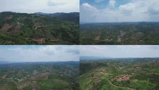 合集山川丘陵水果种植水果基地航拍高清在线视频素材下载