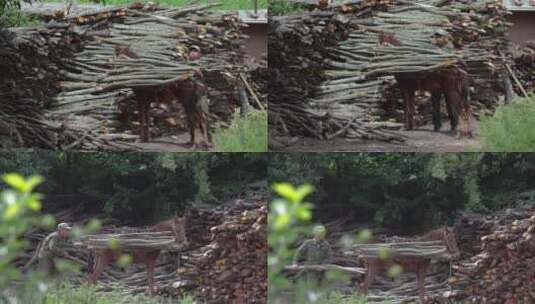 农村木材堆积视频偏远山村砍伐树木堆放处高清在线视频素材下载
