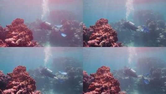 潜水员在海洋暗礁处潜水高清在线视频素材下载