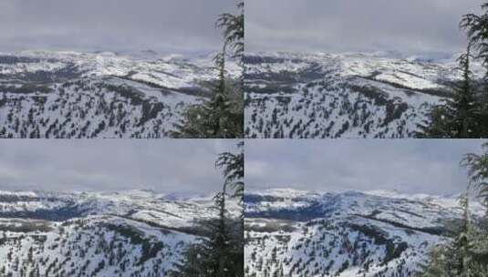森林雪景航拍高清在线视频素材下载