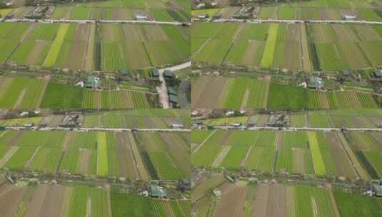 城郊农业种植基地高清在线视频素材下载
