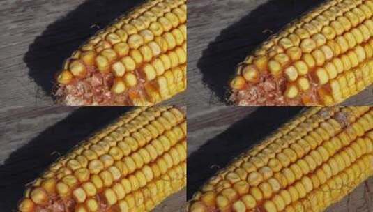 发霉的玉米散落的玉米粒苞米粒高清在线视频素材下载