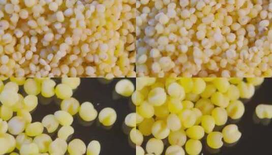 【镜头合集】微距小米粒黄米粒高清在线视频素材下载
