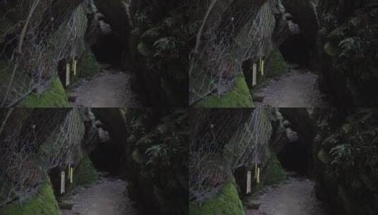 杭州宝石山景区蝙蝠洞高清在线视频素材下载