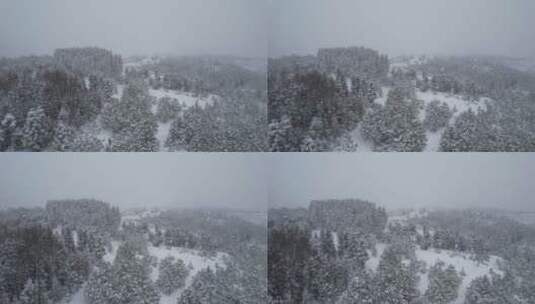 冬雪航拍大地的颜色高清在线视频素材下载