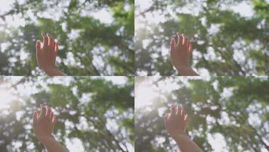 女性温柔的手在空中伸向阳光自由高清在线视频素材下载