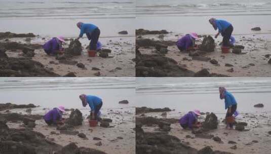 惠安女赶海挖海鲜渔民沙滩海边退潮捕鱼生活高清在线视频素材下载