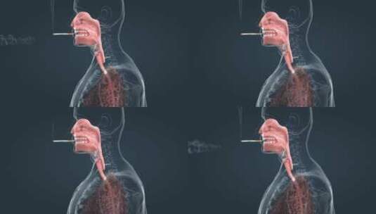 人体吸烟肺部病变过程对人体危害3D动画高清在线视频素材下载