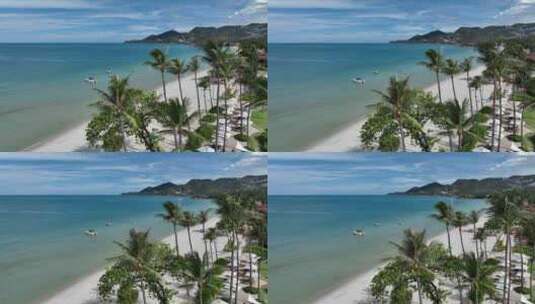 泰国苏梅岛查汶海滩热带岛屿海滨风光航拍高清在线视频素材下载