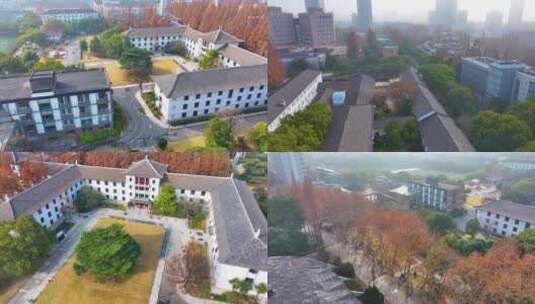 上海杨浦区同济大学本部航拍校园风景风光素高清在线视频素材下载