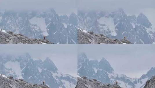 玉龙雪山登山高清在线视频素材下载