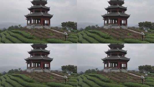 柳州仙人山布央茶园航拍高清在线视频素材下载