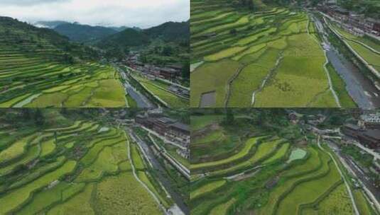 航拍梯田 苗寨 自然风光 乡村美景 空镜高清在线视频素材下载