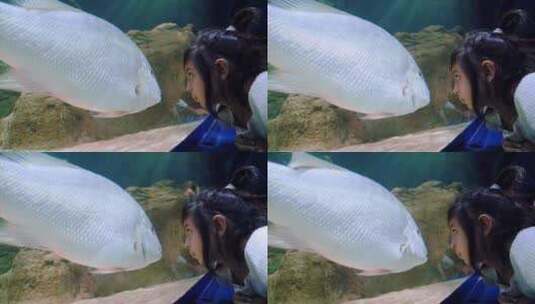 一个小女孩在水族馆里看着一条鱼高清在线视频素材下载