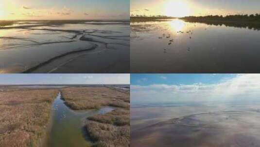 黄海湿地滩涂 条子泥湿地高清在线视频素材下载