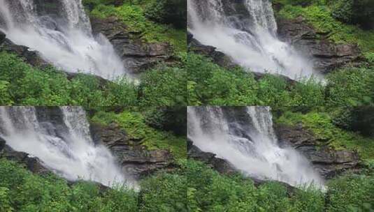 森林花丛高山瀑布流水高清在线视频素材下载