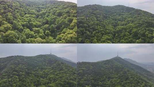 无锡惠山惠山古镇惠山寺自然景观高清在线视频素材下载