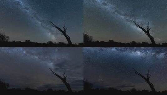 夜空下枯树与璀璨星空高清在线视频素材下载