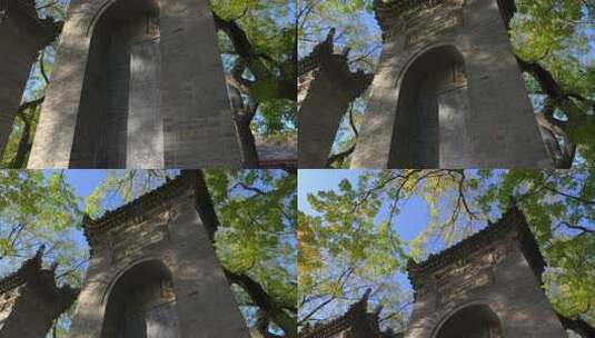 西安小雁塔仰拍古石碑与参天大树蓝天高清在线视频素材下载