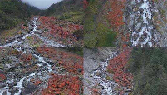 天全县二郎山喇叭河风景区的红石滩高清在线视频素材下载