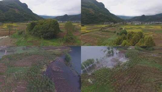 雷波马湖莼菜高清在线视频素材下载