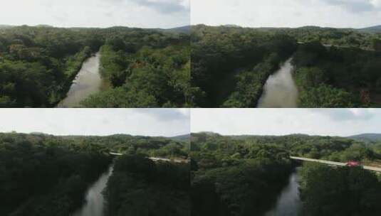 航拍森林中的河流高清在线视频素材下载