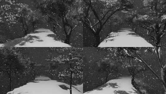 29.场景-路-下雪的小路高清在线视频素材下载