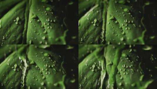 水滴顺着绿叶流下来高清在线视频素材下载