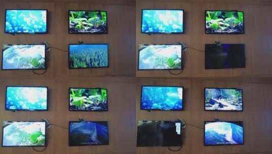 植物园大自然科普馆生态文化展示6高清在线视频素材下载