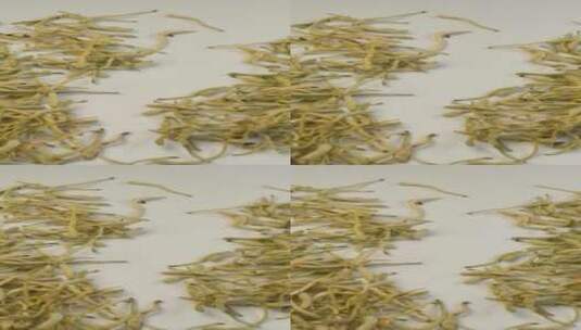 4K中药材植物金银花花茶高清在线视频素材下载