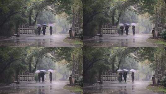 雨中散步的中老年人高清在线视频素材下载