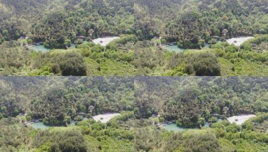 湖南中坡山森林公园航拍高清在线视频素材下载