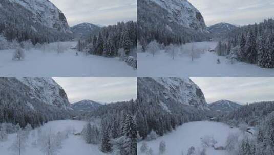 被大雪覆盖的森林航拍高清在线视频素材下载