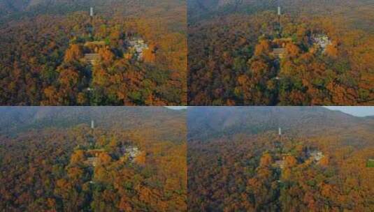 秋色相映的山中寺庙高清在线视频素材下载