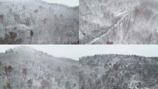 自然风景，唯美意境，治愈系风景，视觉震撼高清在线视频素材下载