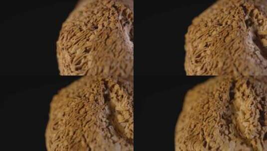 猴头菇干货蘑菇食用菌中药高清在线视频素材下载