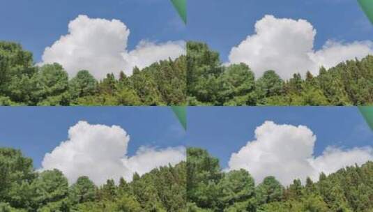 蓝天白云树林绿树阳光唯美空镜高清在线视频素材下载