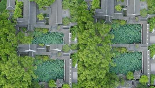 树林环绕绿色生态上海著名旅游风景区醉白池高清在线视频素材下载