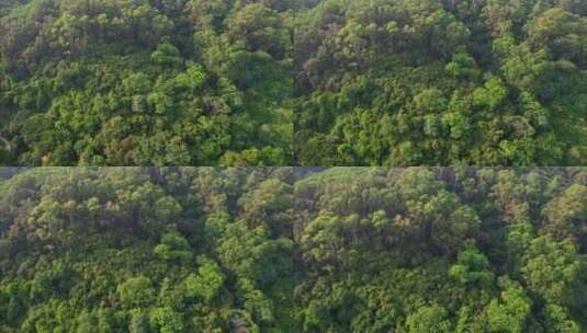 航拍山间森林景观高清在线视频素材下载