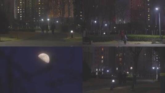 4K月亮-安静的夜晚高清在线视频素材下载