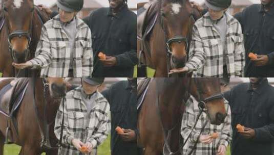 在马场用胡萝卜喂马的人高清在线视频素材下载