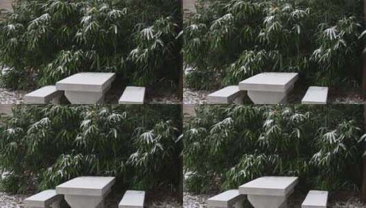 冬天初雪雪景，雪花落满了植物枝头高清在线视频素材下载