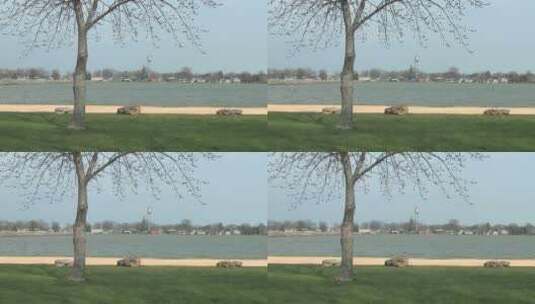 草地树与湖水高清在线视频素材下载