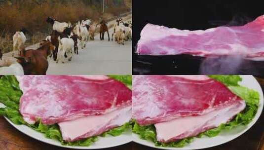 草原鲜羊肉高清在线视频素材下载