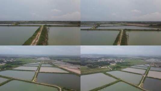 海南文昌乡村渔业养殖池塘村落 航拍高清在线视频素材下载