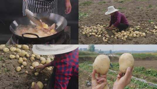 土豆菜品合集高清在线视频素材下载