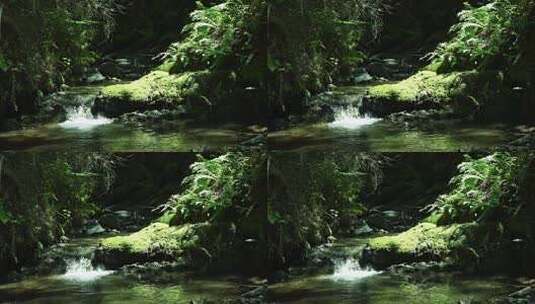 夏季山间河流山涧溪流青苔苔藓绿植青山绿水高清在线视频素材下载